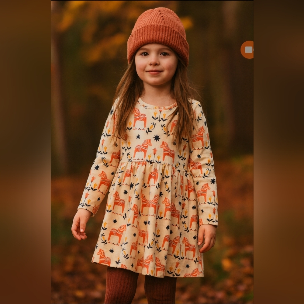Hanna Andersson Girl Long Sleeve Skater Dress With Pockets, Size 120 cm US 6/7